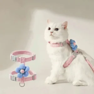 Cat Harness and Leash