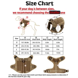 Dog harness and leash for medium and large dogs